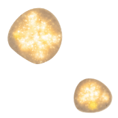 project03 裝飾圖片